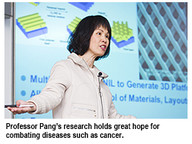 150213_Pang-2.jpg Thumbnail