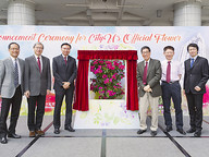 161107-1_flower.jpg Thumbnail