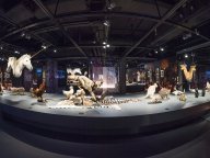 180524-piclink_exhibition.jpg 縮圖