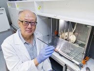 180906-1_research.jpg Thumbnail