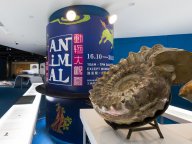 181016-thumbnail_animal.jpg Thumbnail