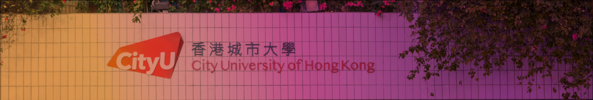 Bottom Banner