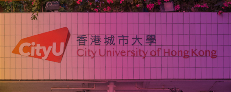 Bottom Banner