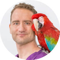 Dr Zoltan Szabo