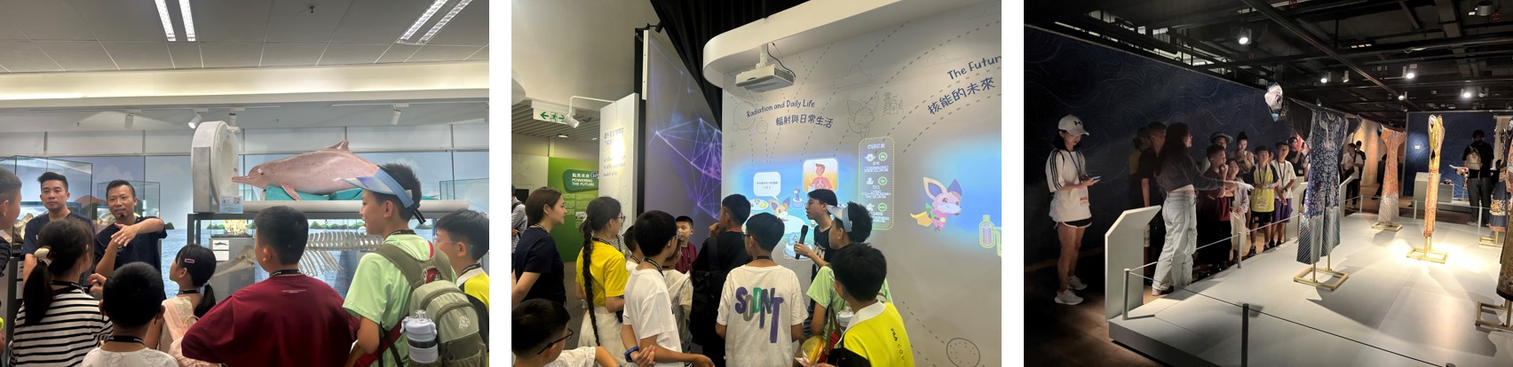Exhibitions